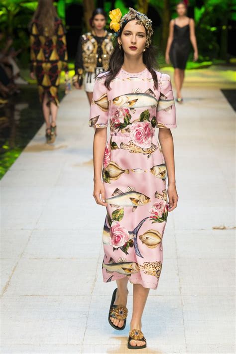 dolce gabbana kleider 2017